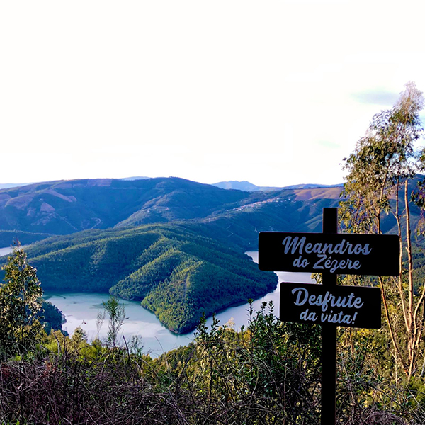 IMG-20260331-WA0007